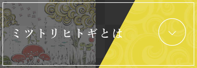 ミツトリヒトギとは